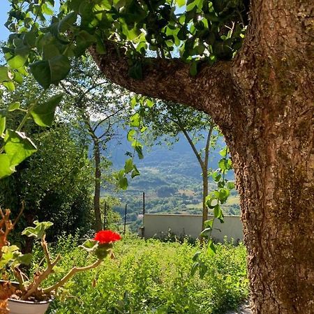 B&B Al San Francesco Castel Di Sangro Exterior photo